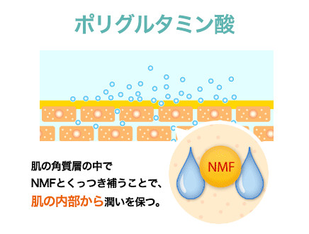 ポリグルタミン酸